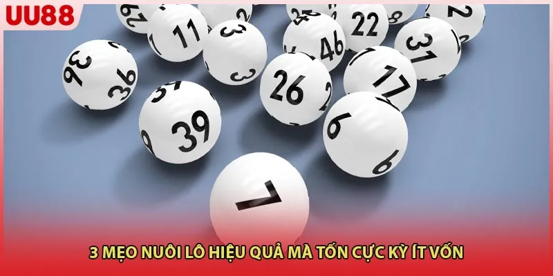 3 mẹo nuôi lô hiệu quả mà tốn cực kỳ ít vốn