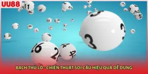 Bạch Thủ Lô - Chiến Thuật Soi Cầu Hiệu Quả Dễ Dùng