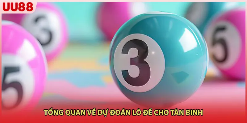 Tổng quan về dự đoán lô đề cho tân binh